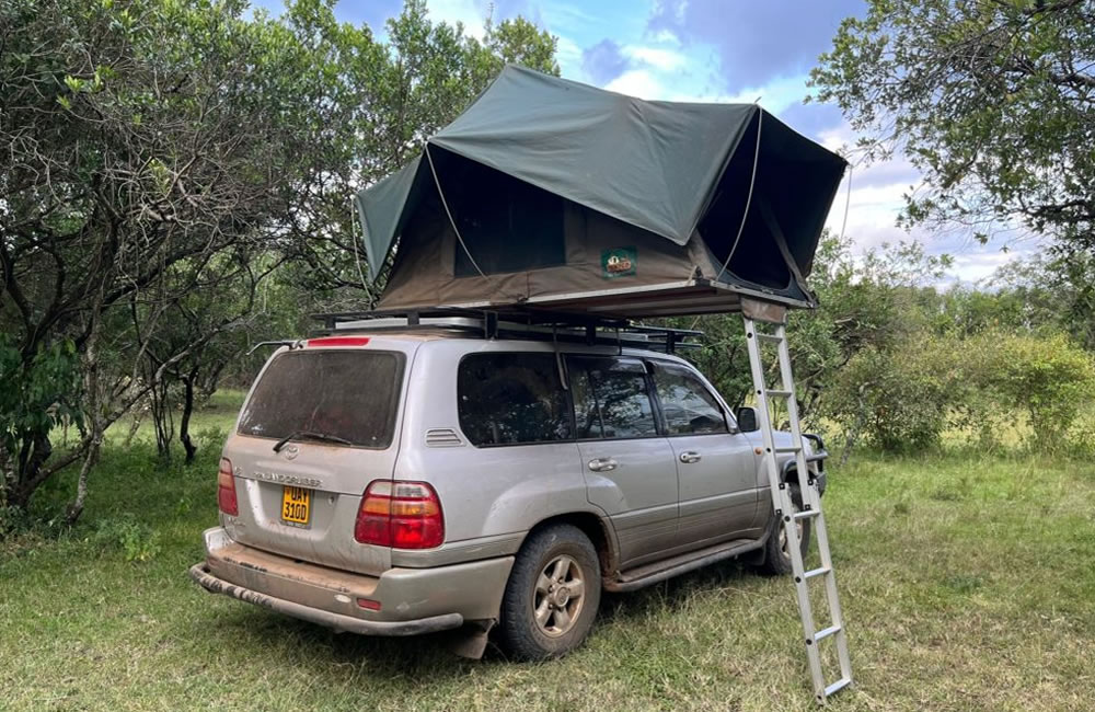 Rooftop Tent Rental